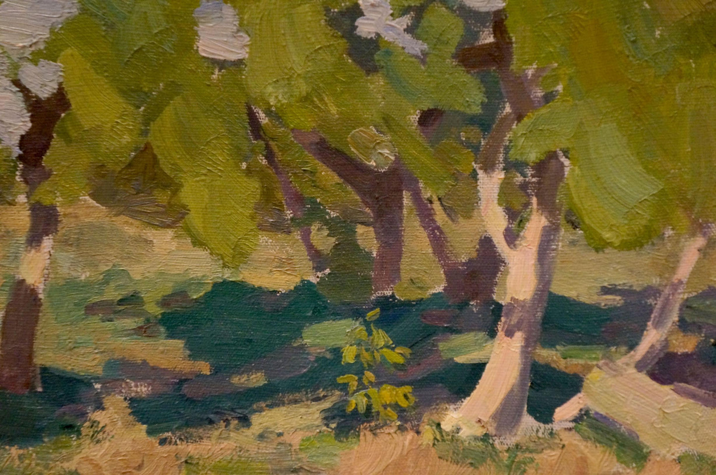 Oil painting Relaxing near the trees Nikolay Chernikov