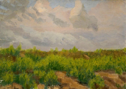 Oil painting After the rain Chernikov Nikolay Vladimirovich