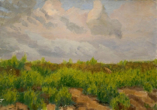 Oil painting After the rain Chernikov Nikolay Vladimirovich