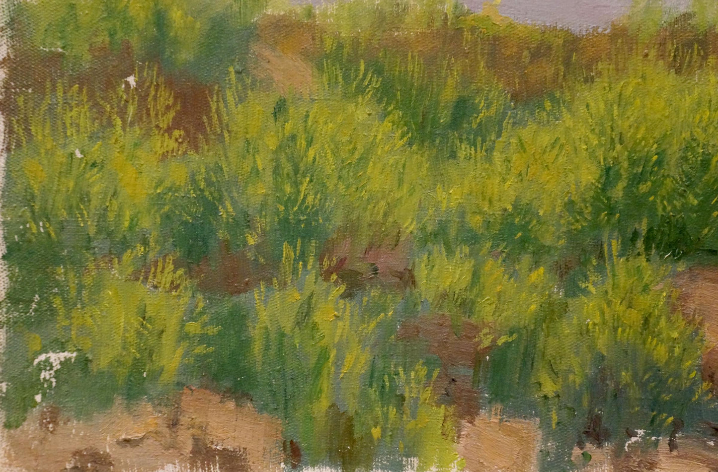 Oil painting After the rain Chernikov Nikolay Vladimirovich