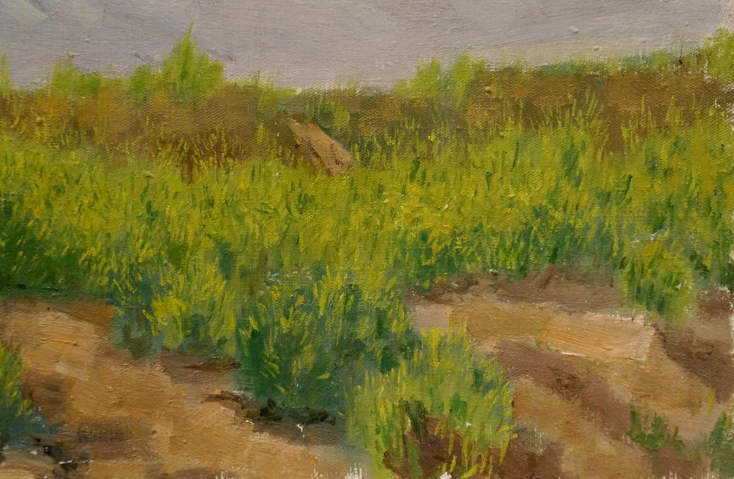 Oil painting After the rain Chernikov Nikolay Vladimirovich