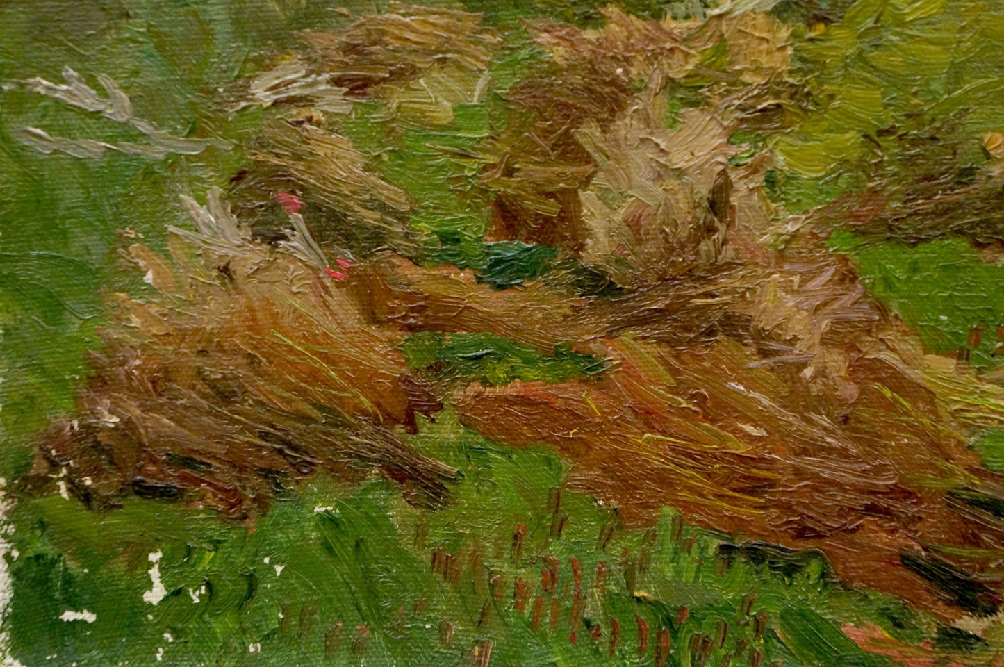 Oil painting Stream near the forest Chernikov Nikolay Vladimirovich