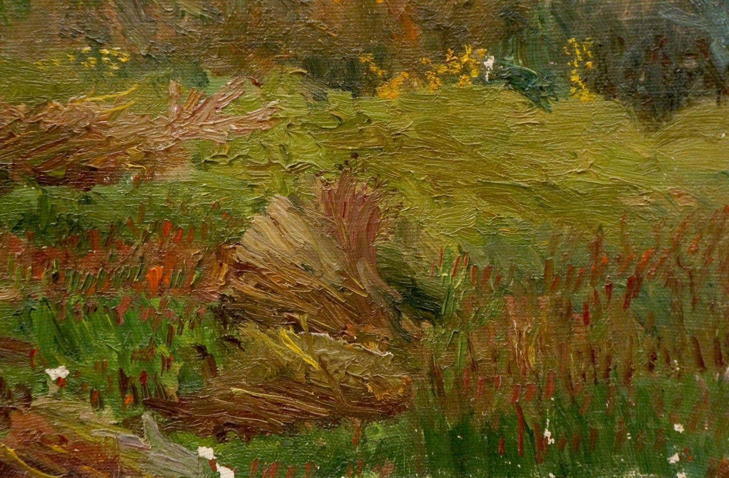 Oil painting Stream near the forest Chernikov Nikolay Vladimirovich