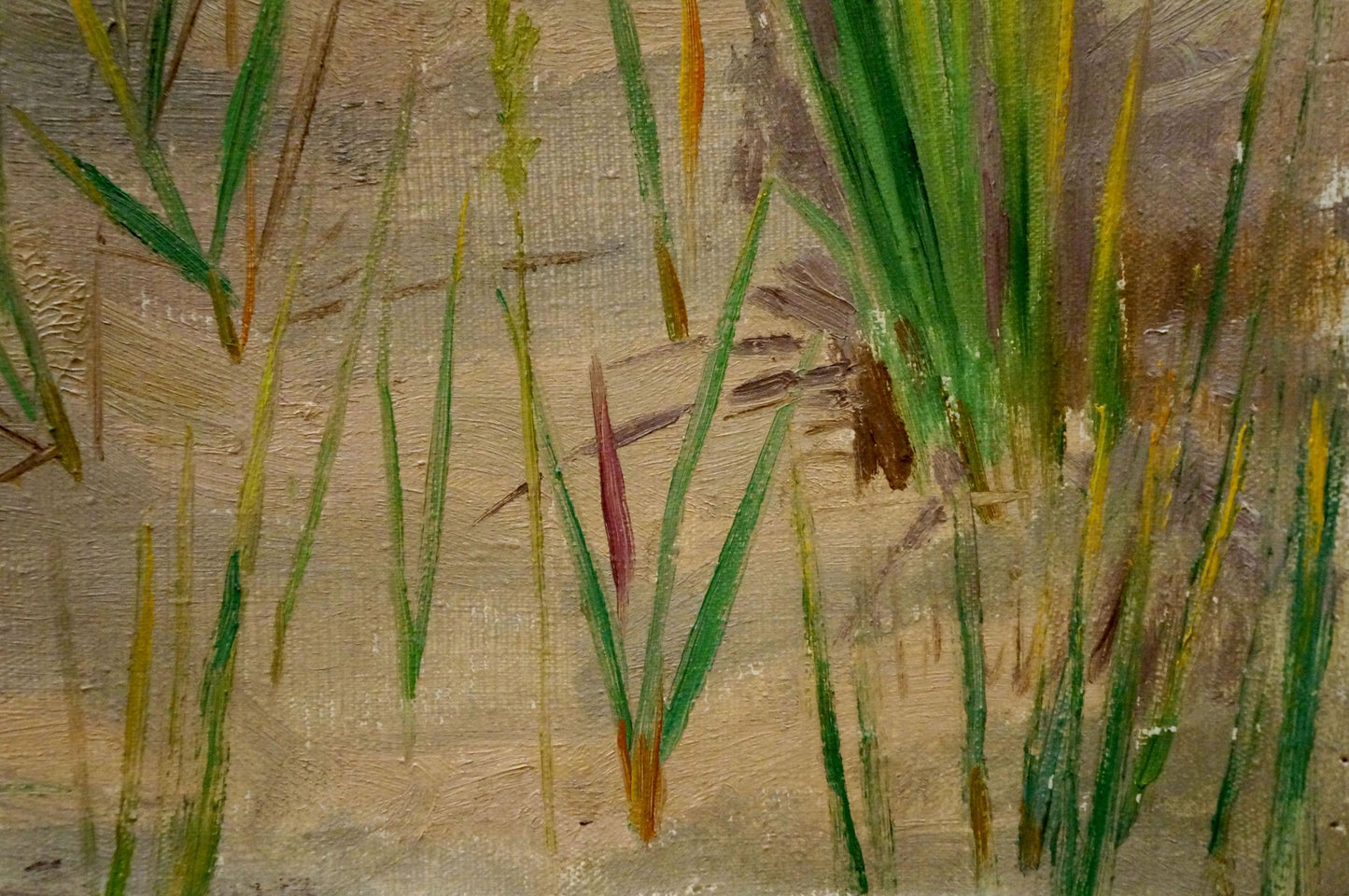 Oil painting Natural beauty Chernikov Nikolay Vladimirovich