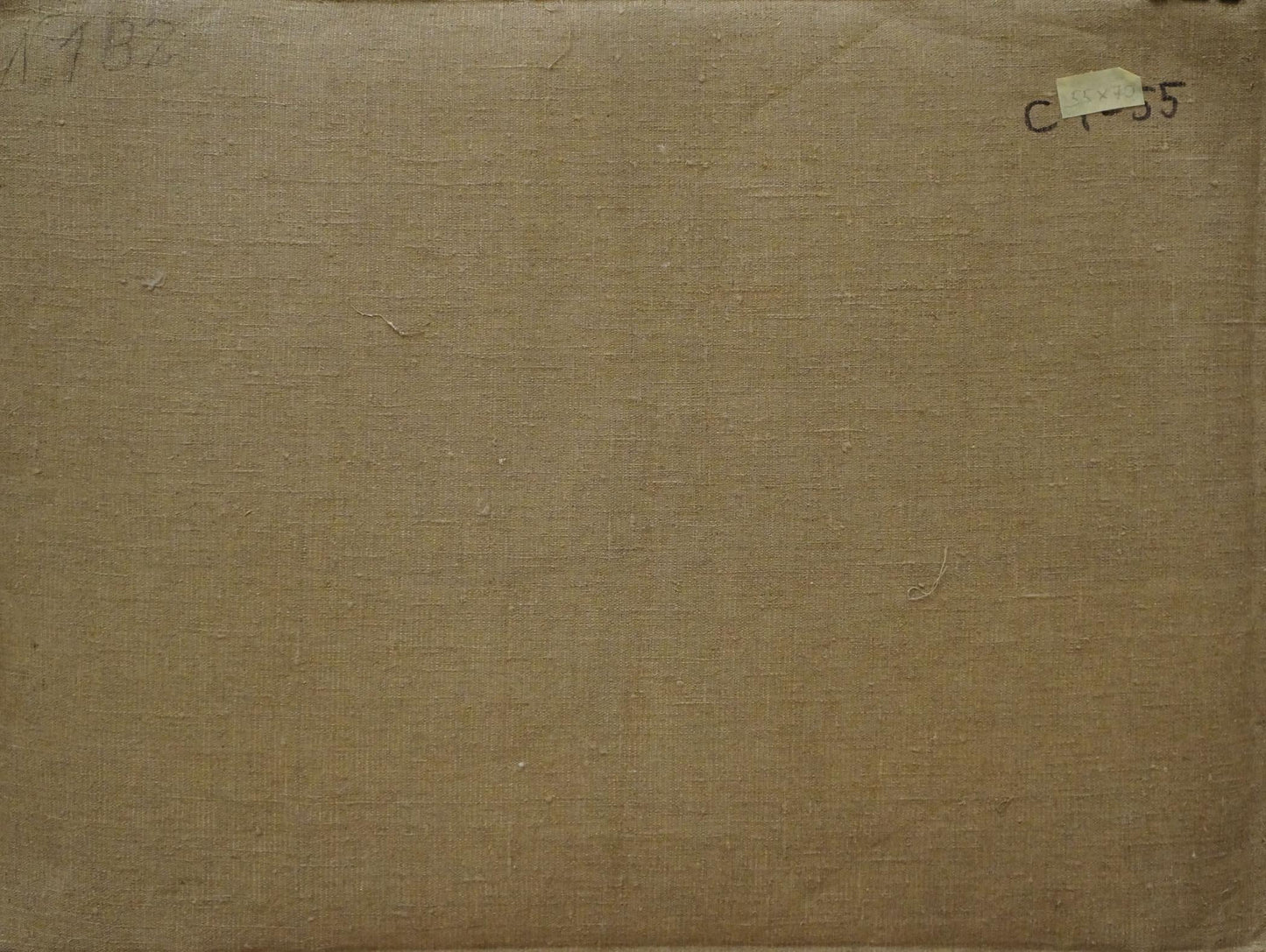 Oil painting Natural beauty Chernikov Nikolay Vladimirovich