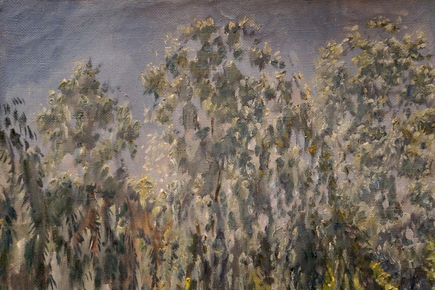 Oil painting Lake in the forest Chernikov Nikolay Vladimirovich