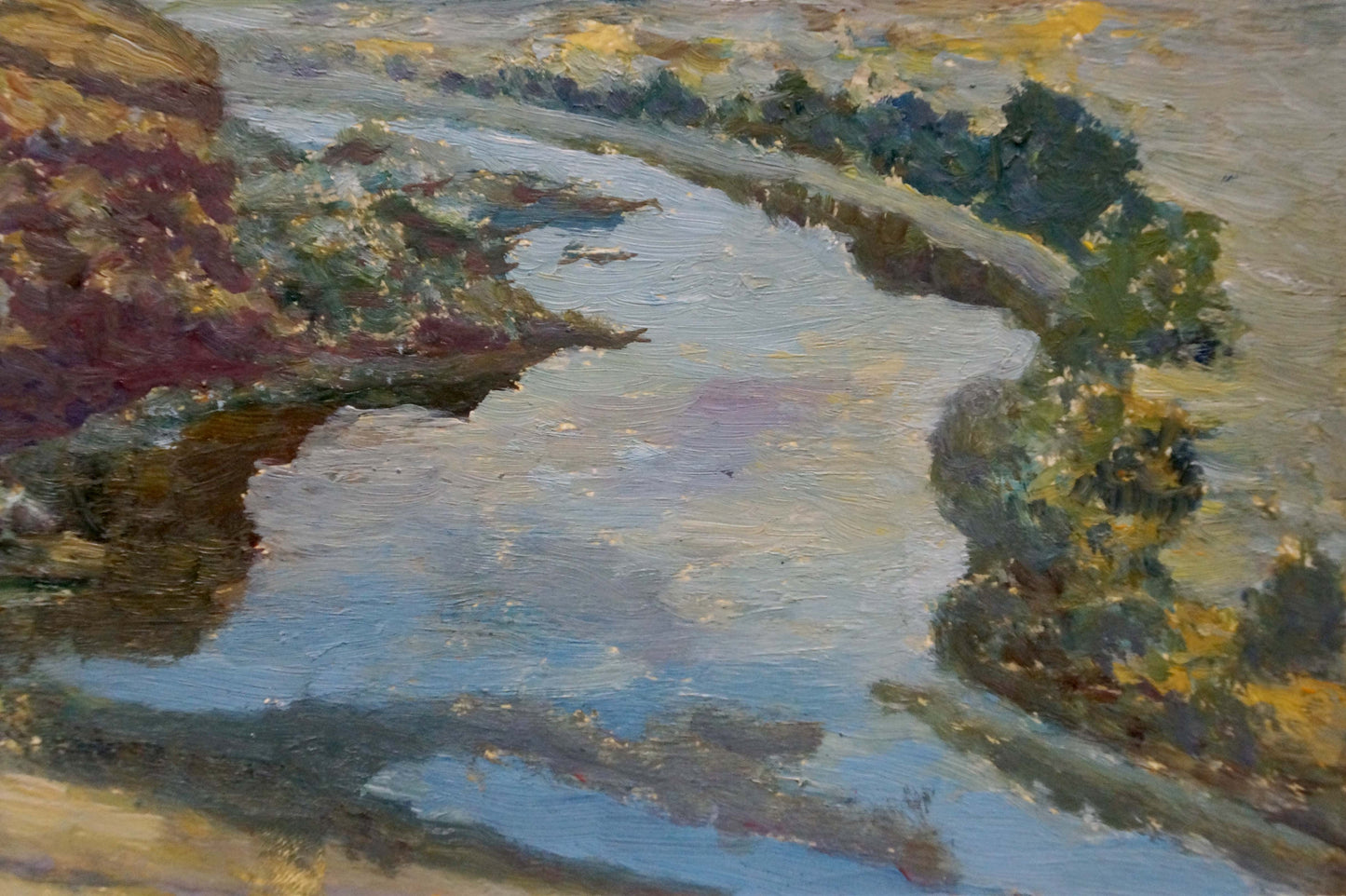 Oil painting River along the cliff Smychek Igor Vladimirovich
