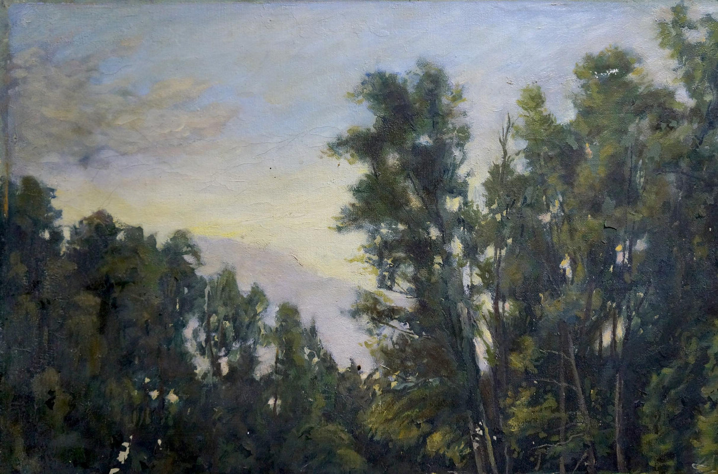 Oil painting Swamps in the forest Unknown artist