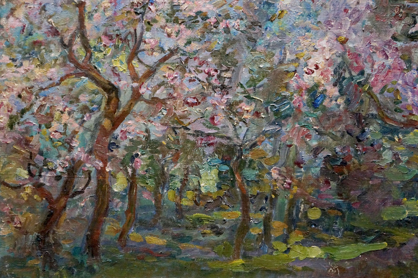 Oil painting Blooming trees Tytarenko Odarka Anatoliivna