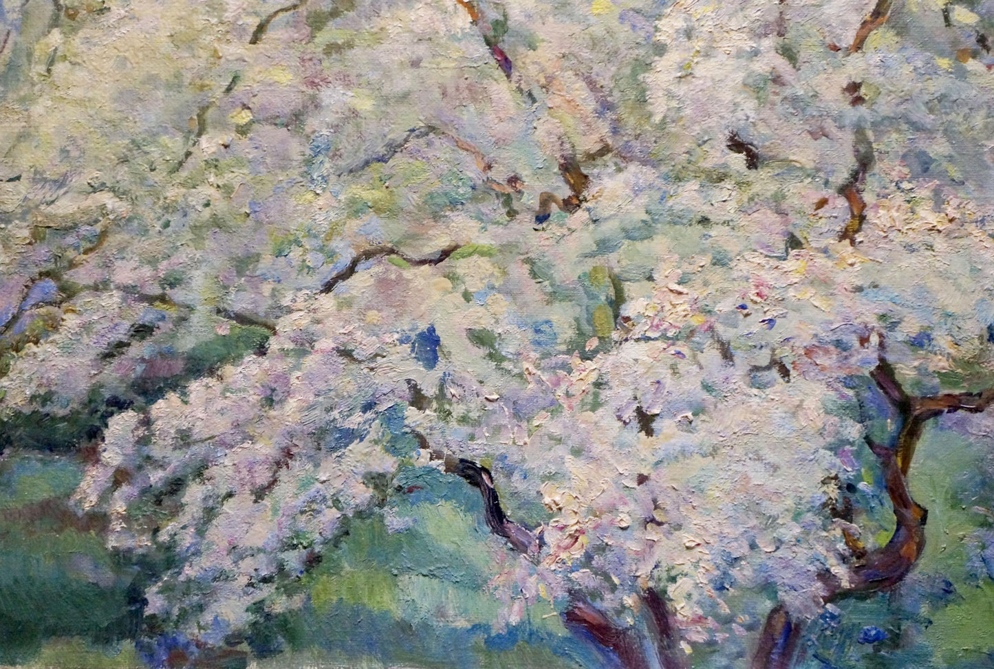 Oil painting Blooming tree Tytarenko Odarka Anatoliivna