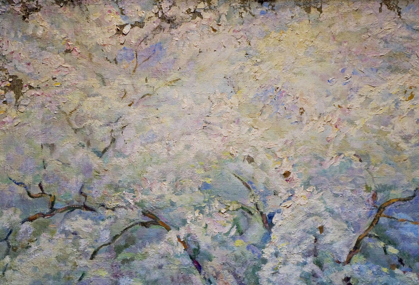 Oil painting Blooming tree Tytarenko Odarka Anatoliivna
