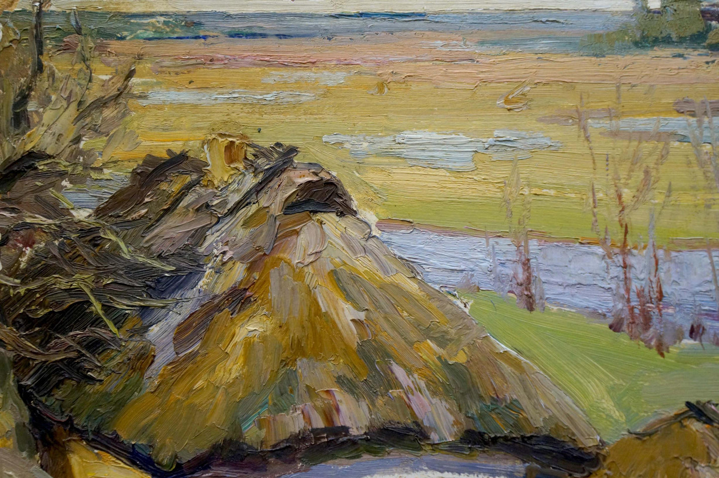 Oil painting Home landscape Leonid Ovsiyovych Muchnyk