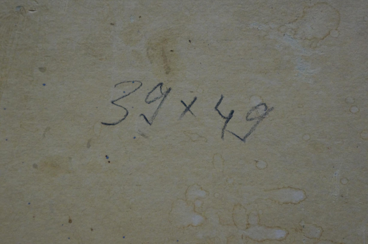 Oil painting Home landscape Leonid Ovsiyovych Muchnyk