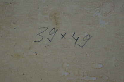 Oil painting Home landscape Leonid Ovsiyovych Muchnyk