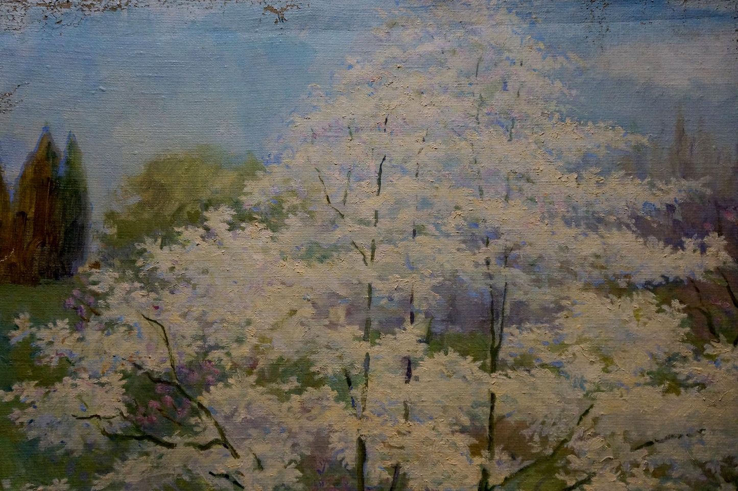 Summer Garden Landscape: Oil Painting by Elvira Titarenko