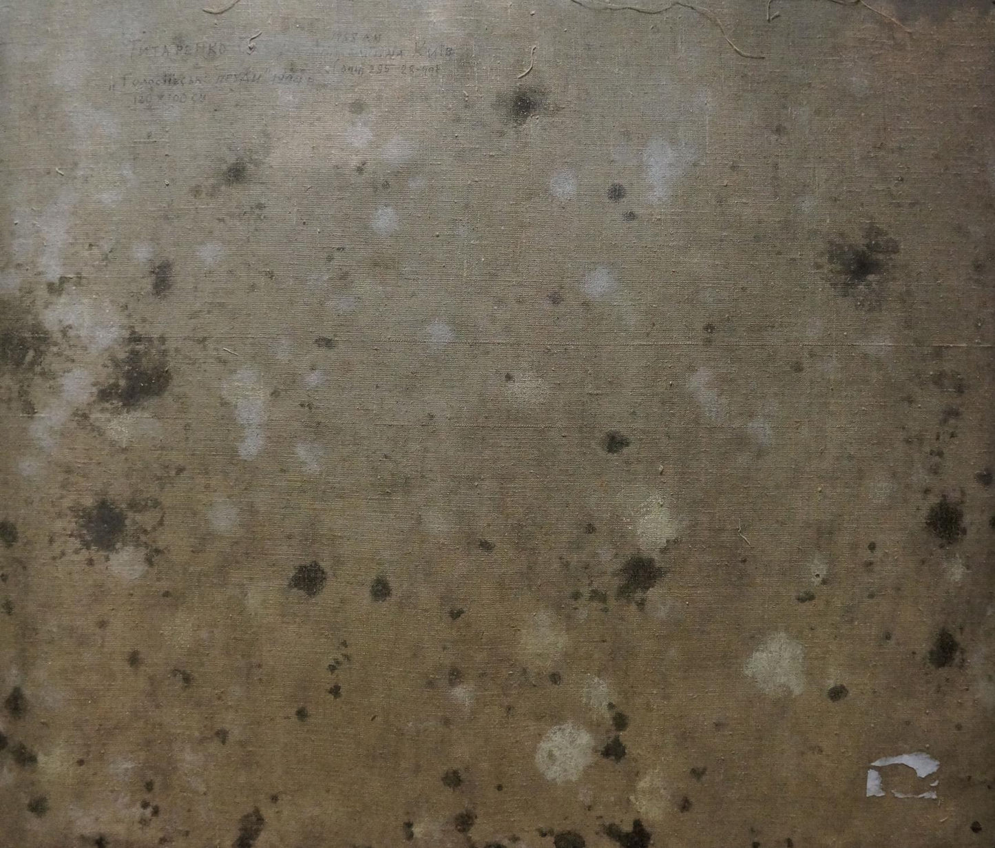 Oil painting Forest pond Tytarenko Odarka Anatoliivna