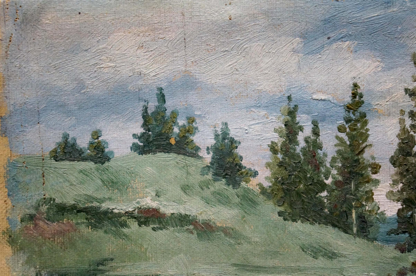 Oil painting After the rain D. Sitomir