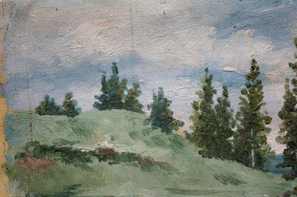 Oil painting After the rain D. Sitomir