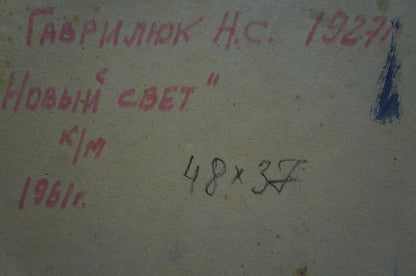 Oil painting New World Gavrilyuk Nikolay Stepanovich