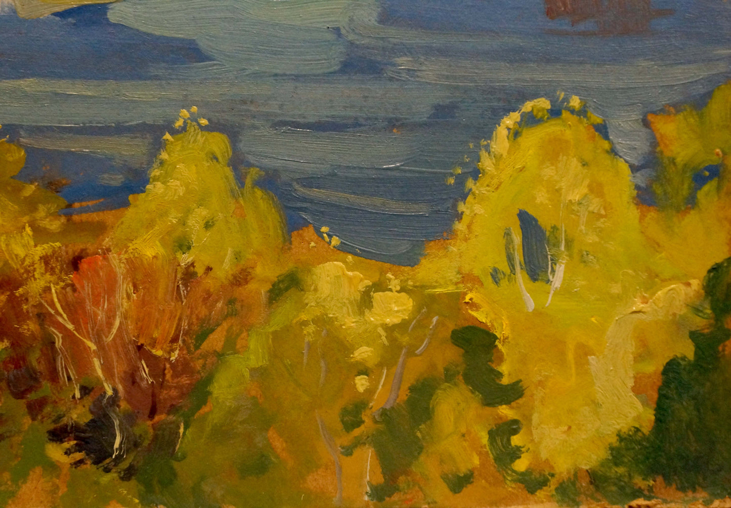 Oil painting River landscape Nikolay Buryachok