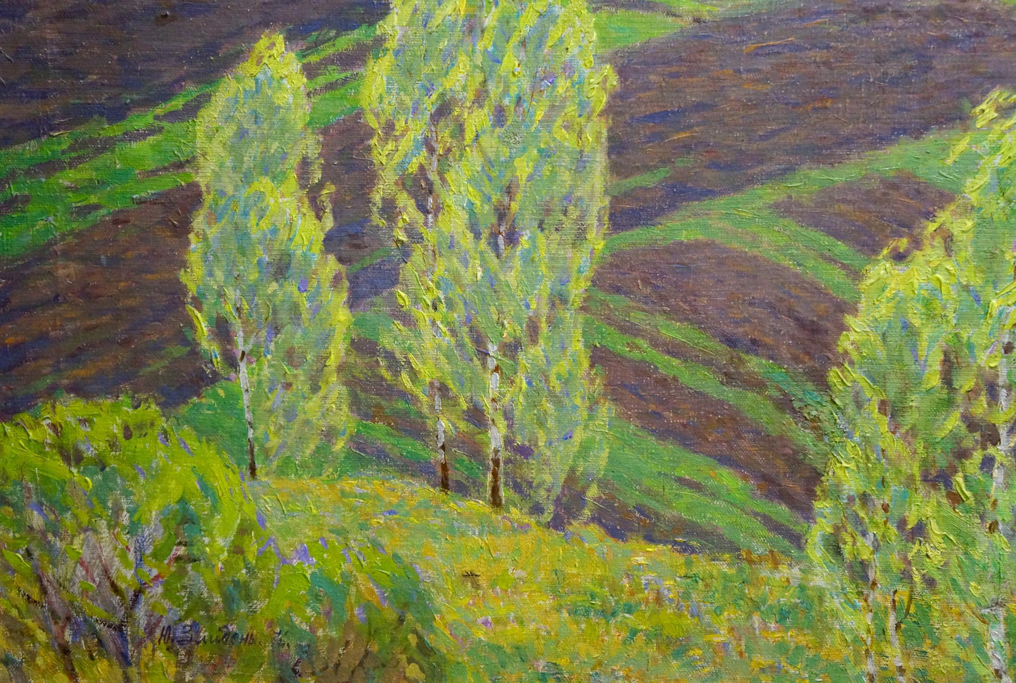 Oil painting Spring Zlyden Yuri Fedorovich