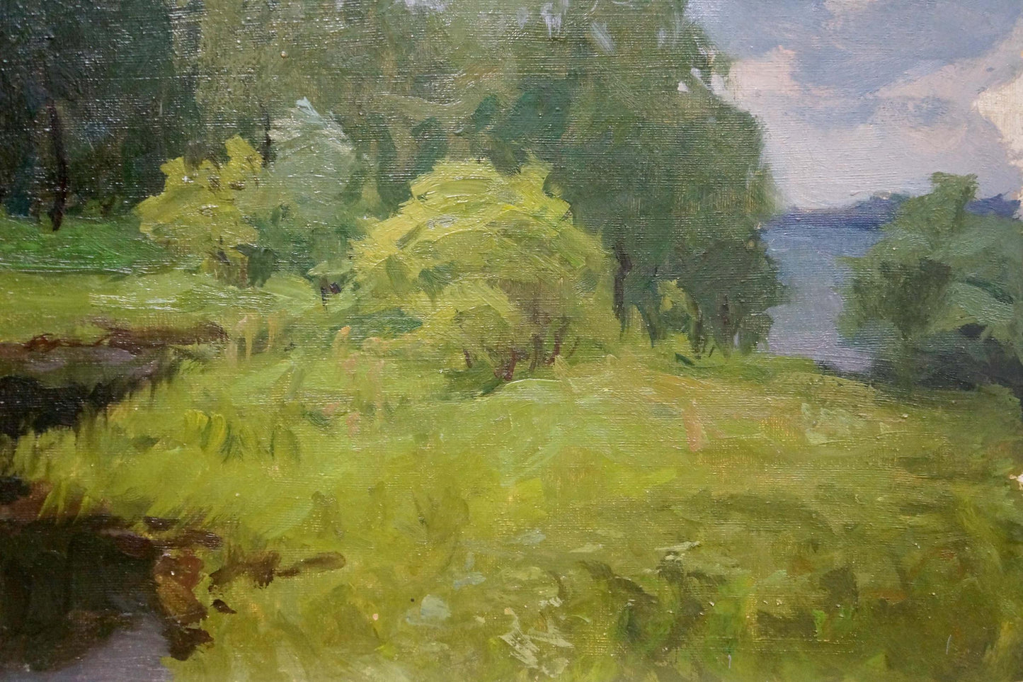Oil painting Before the rain Gaiduk Viktor Kirillovich