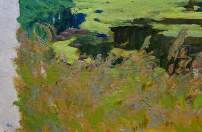 Oil painting Swampy area Anatoly Fomin