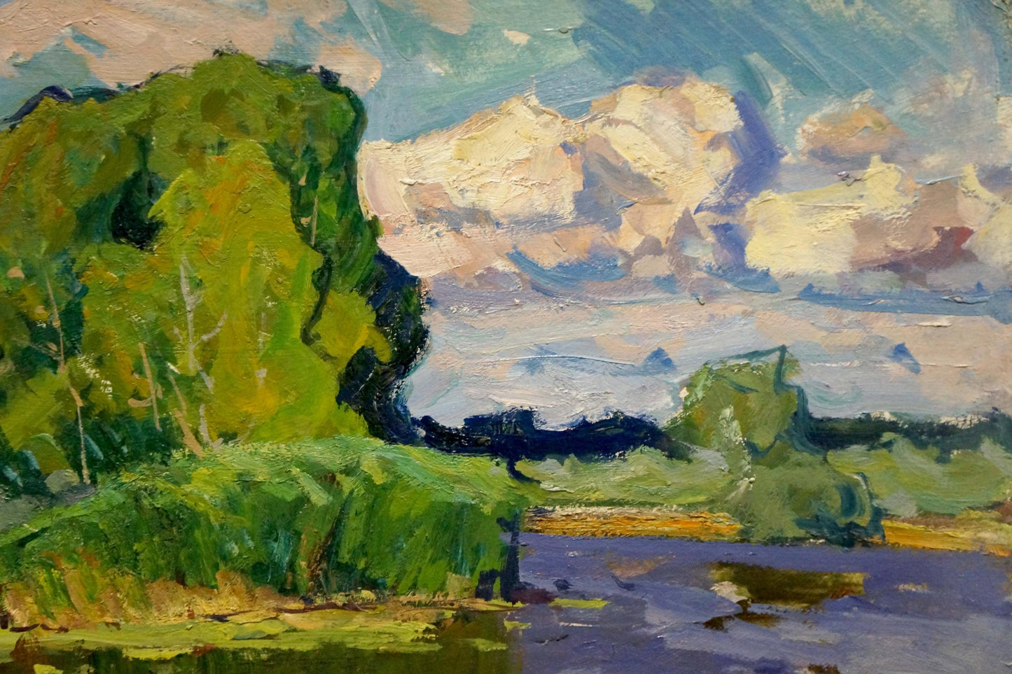 Oil painting Swampy area Anatoly Fomin