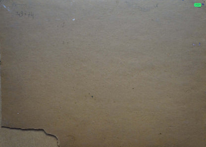 Oil painting Swampy area Anatoly Fomin