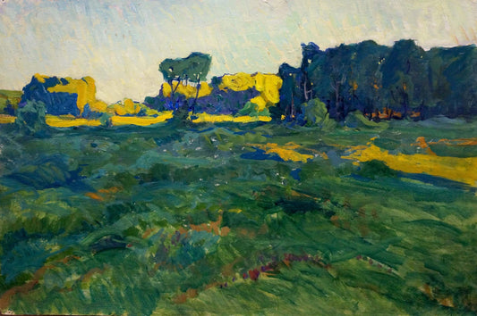 Oil painting Daylight Fomin Anatoly Nikiforovich
