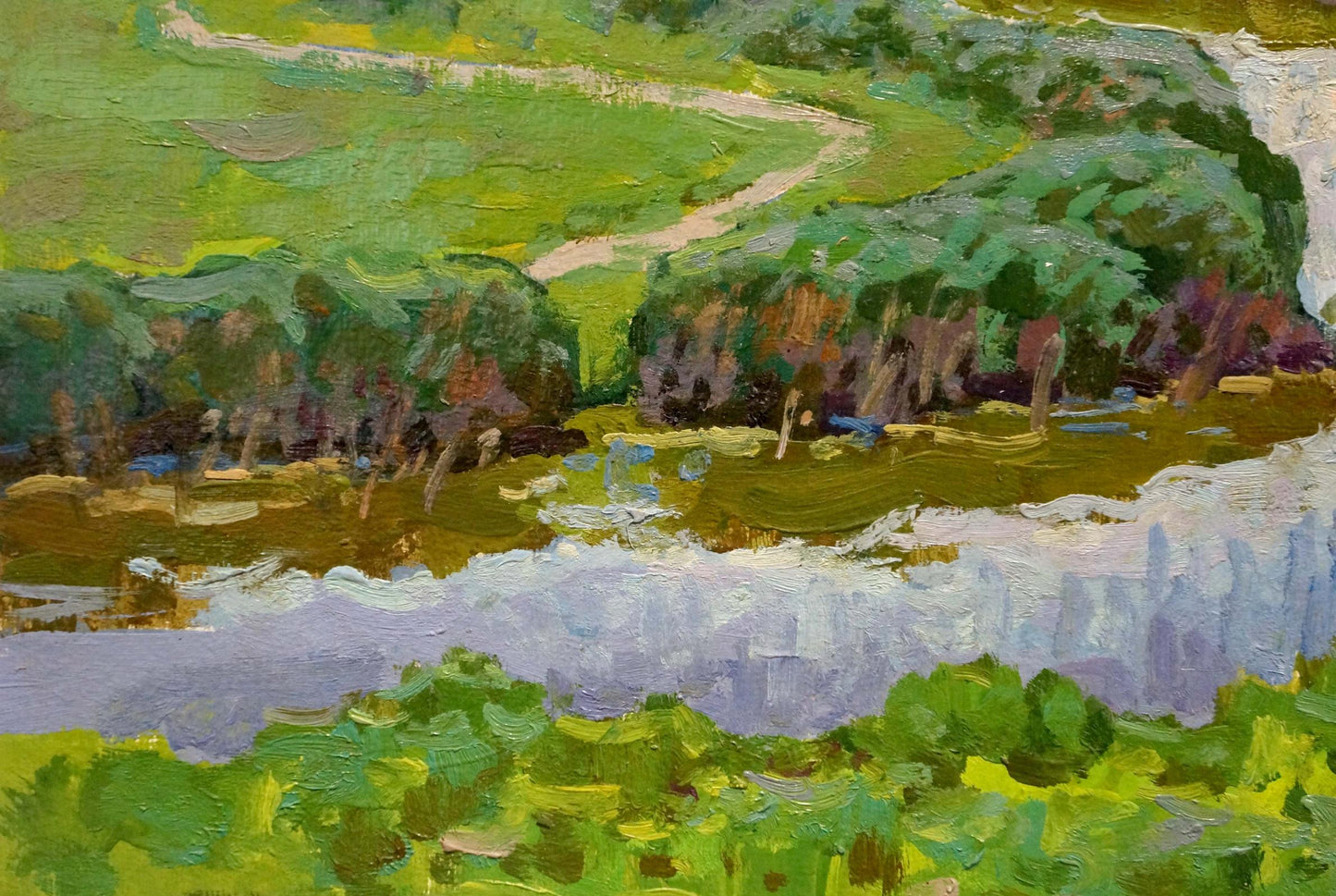 Oil painting In the Dnieper floodplain Ruban Grigory Savelievich