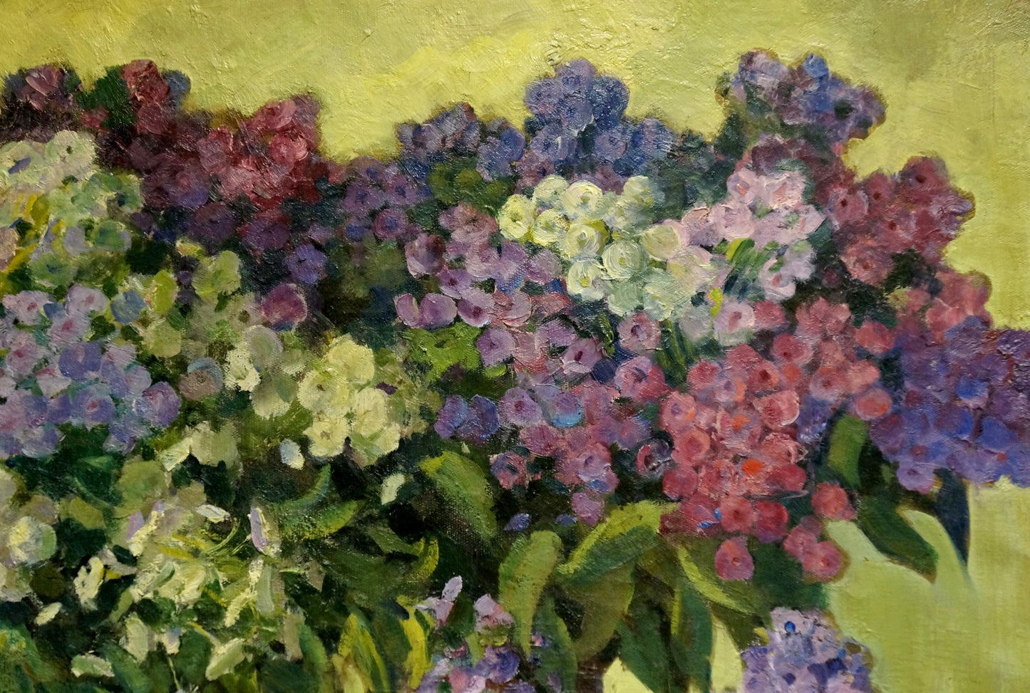Oil painting Phlox Suponin Petr Mikhailovich