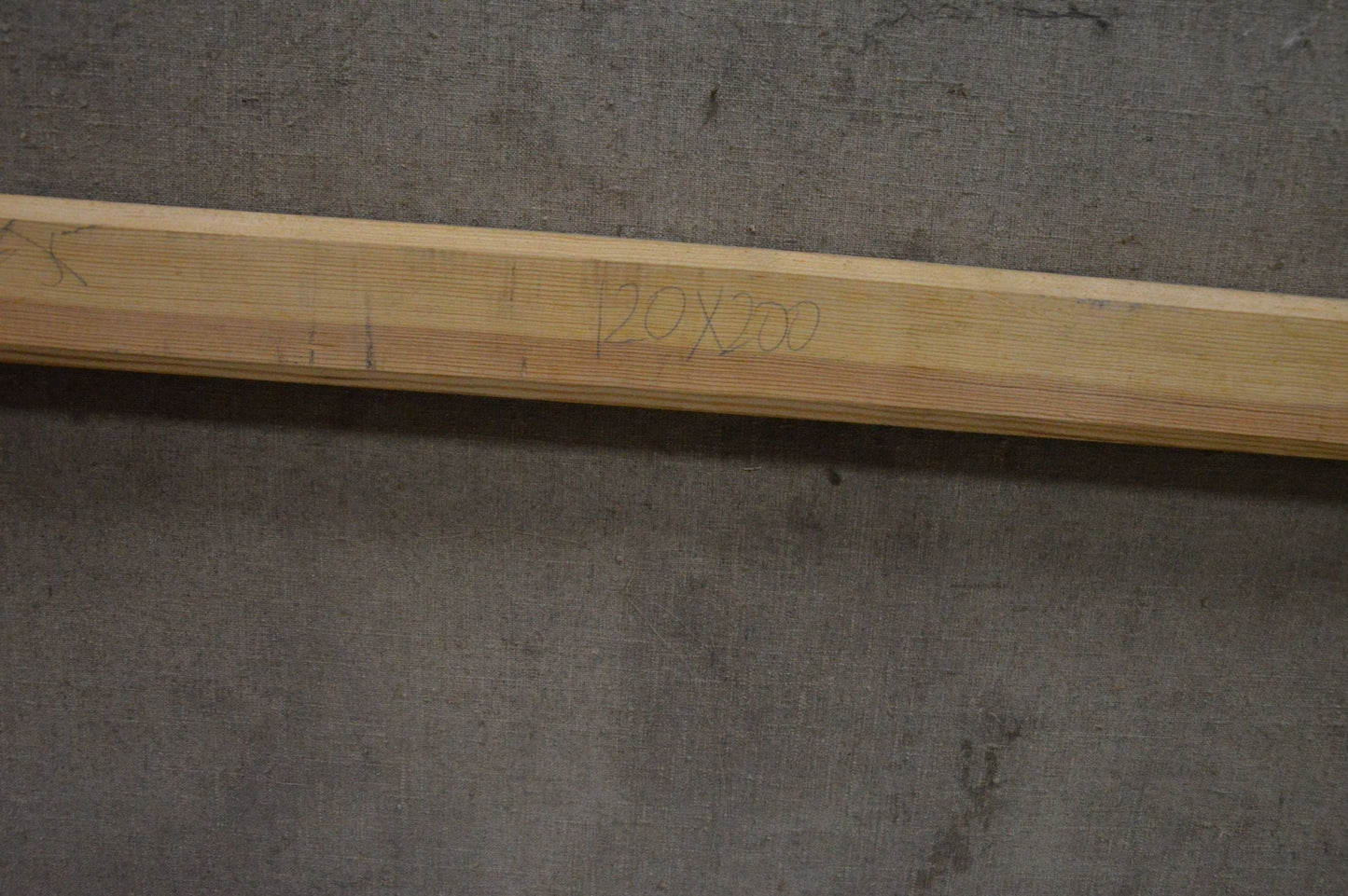 Oil painting Walk through the woods