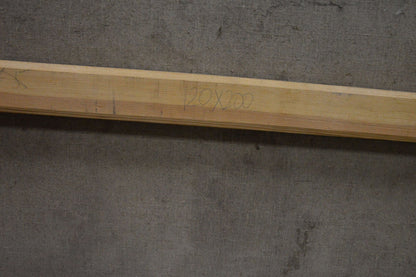 Oil painting Walk through the woods