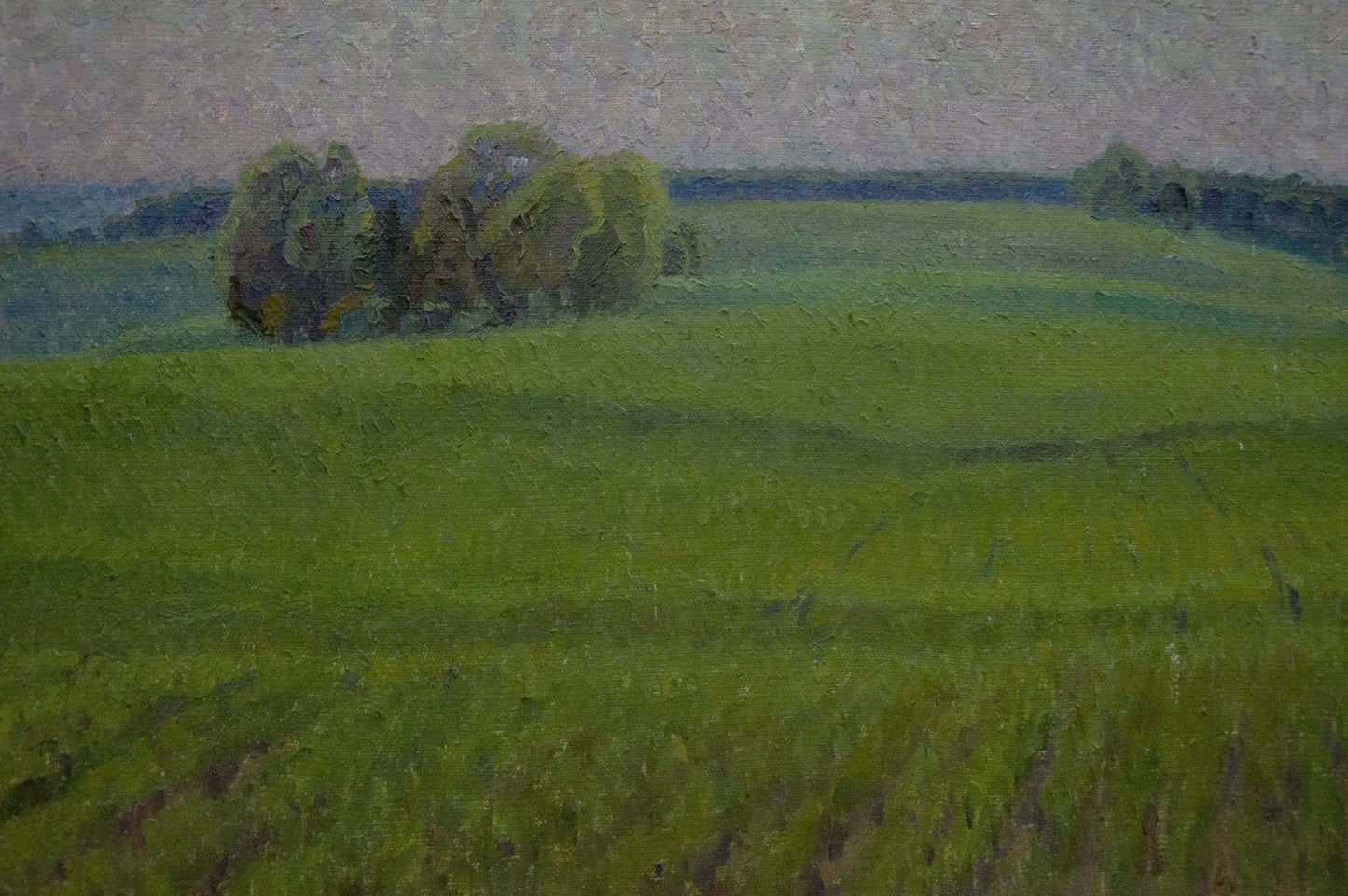 Oil painting Fields Romanishin Mikhail Nikolaevich