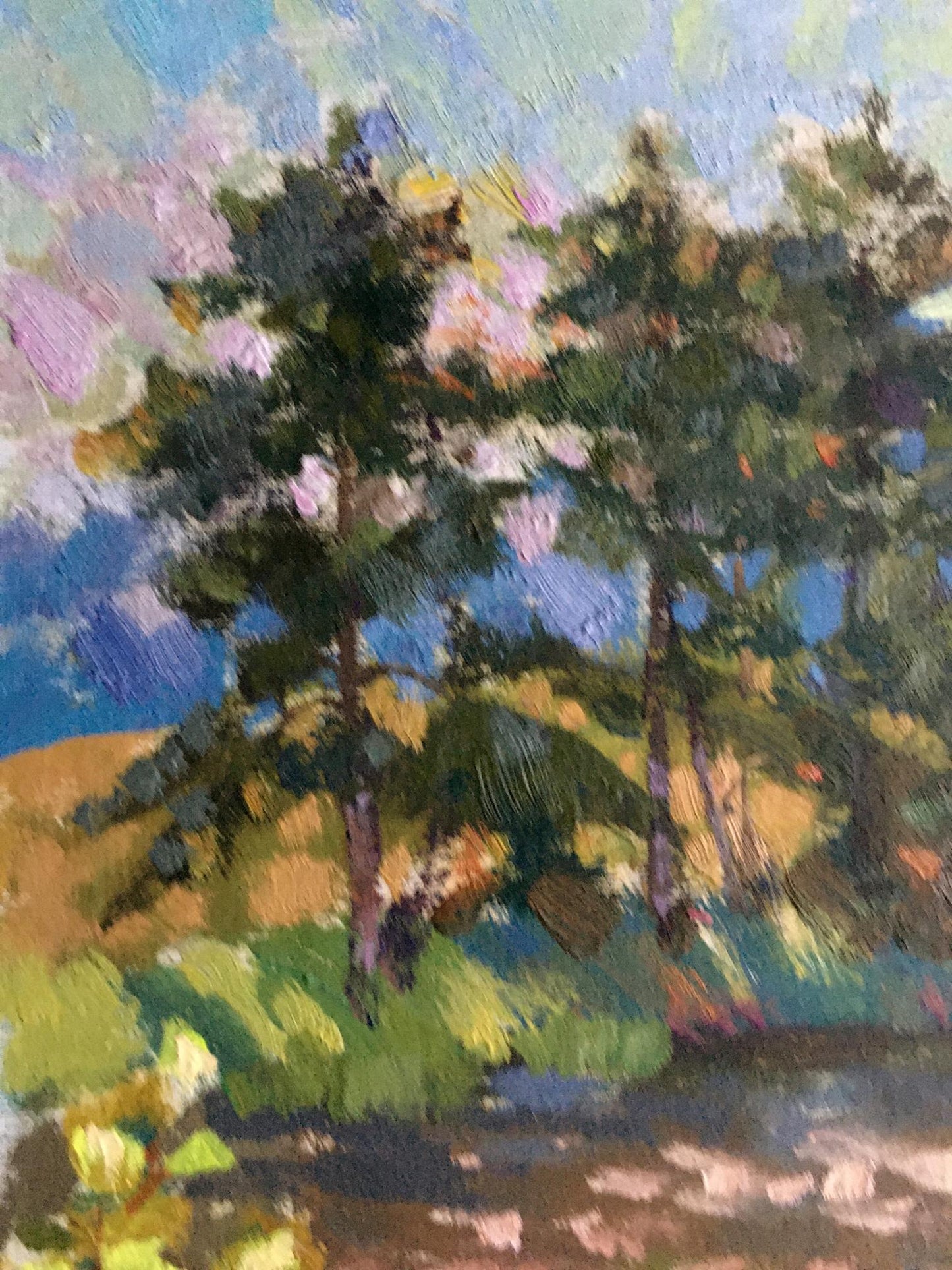 Oil painting Hot day by the stream Vladimir Batrakov