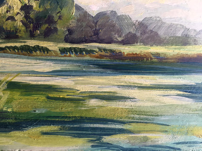 Oil painting Rest by the river Svetlana Gramm