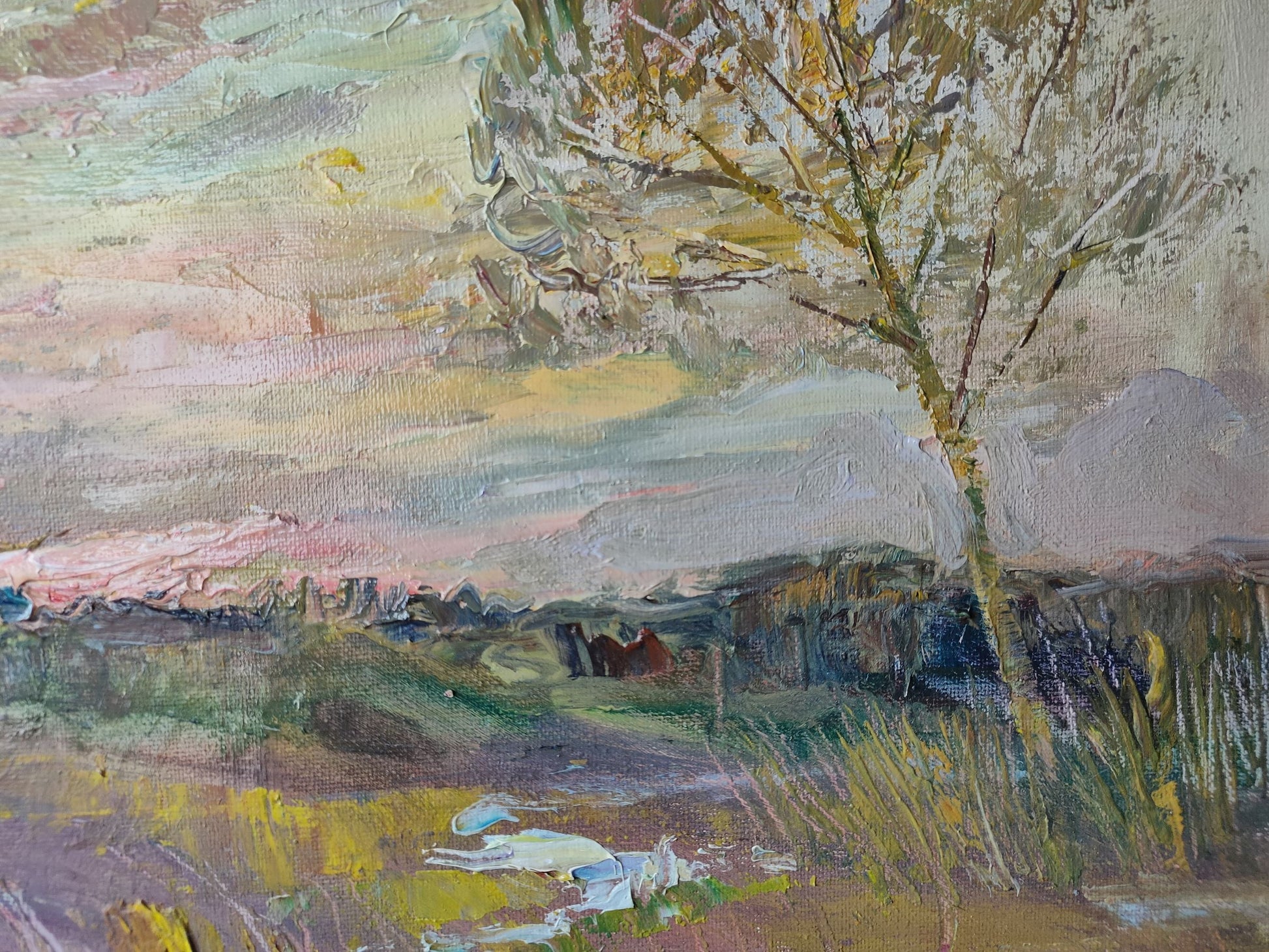 Evening countryside