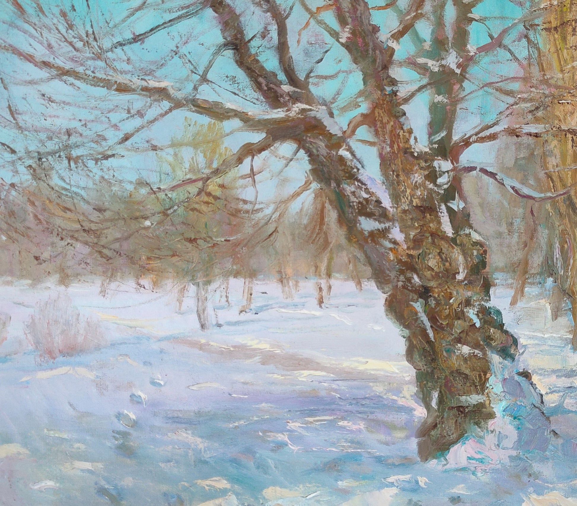 Winter Forest Landscape 