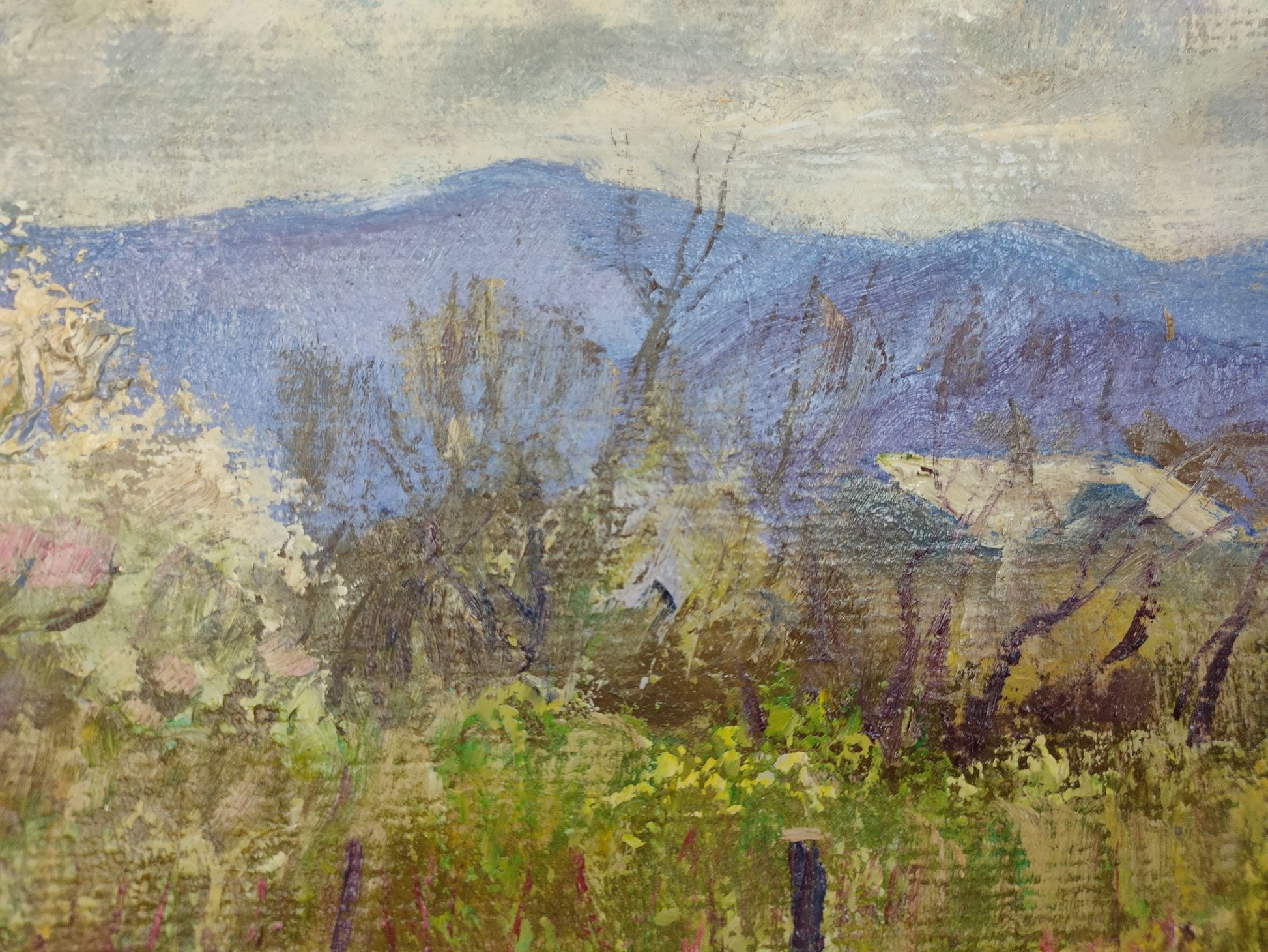 Spring Village landscape 