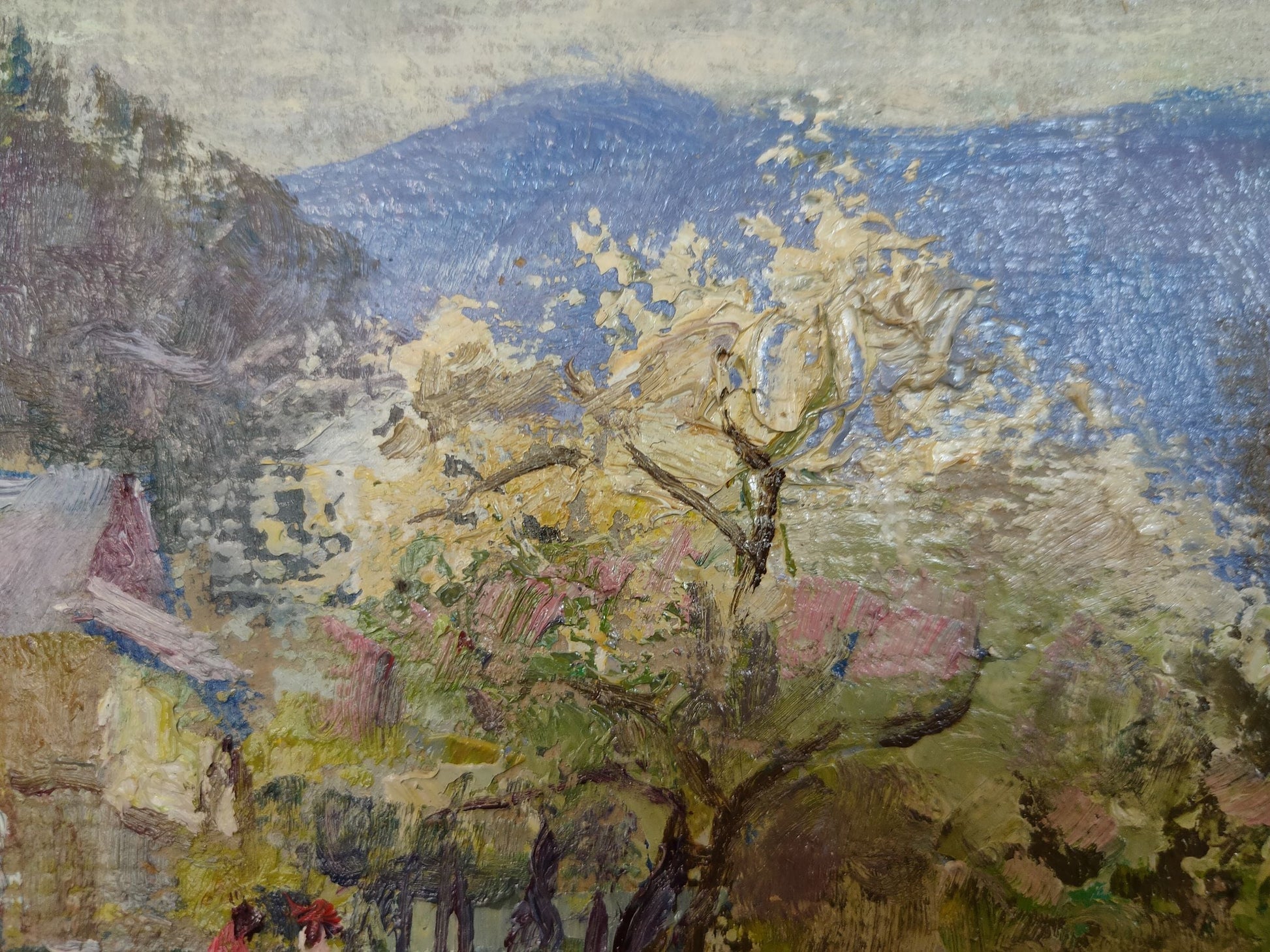 Rural landscape 