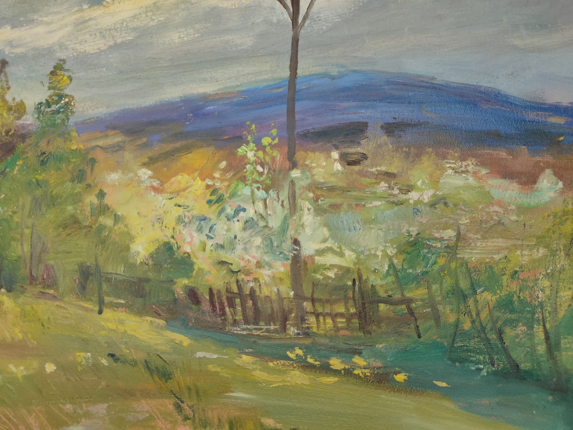 Spring Village landscape 