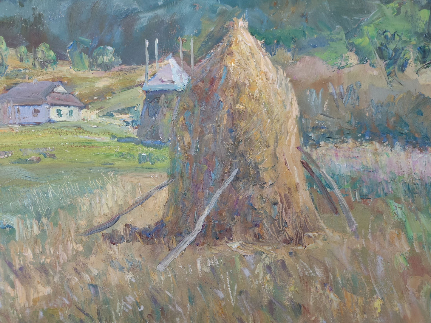 Summer Rural landscape 