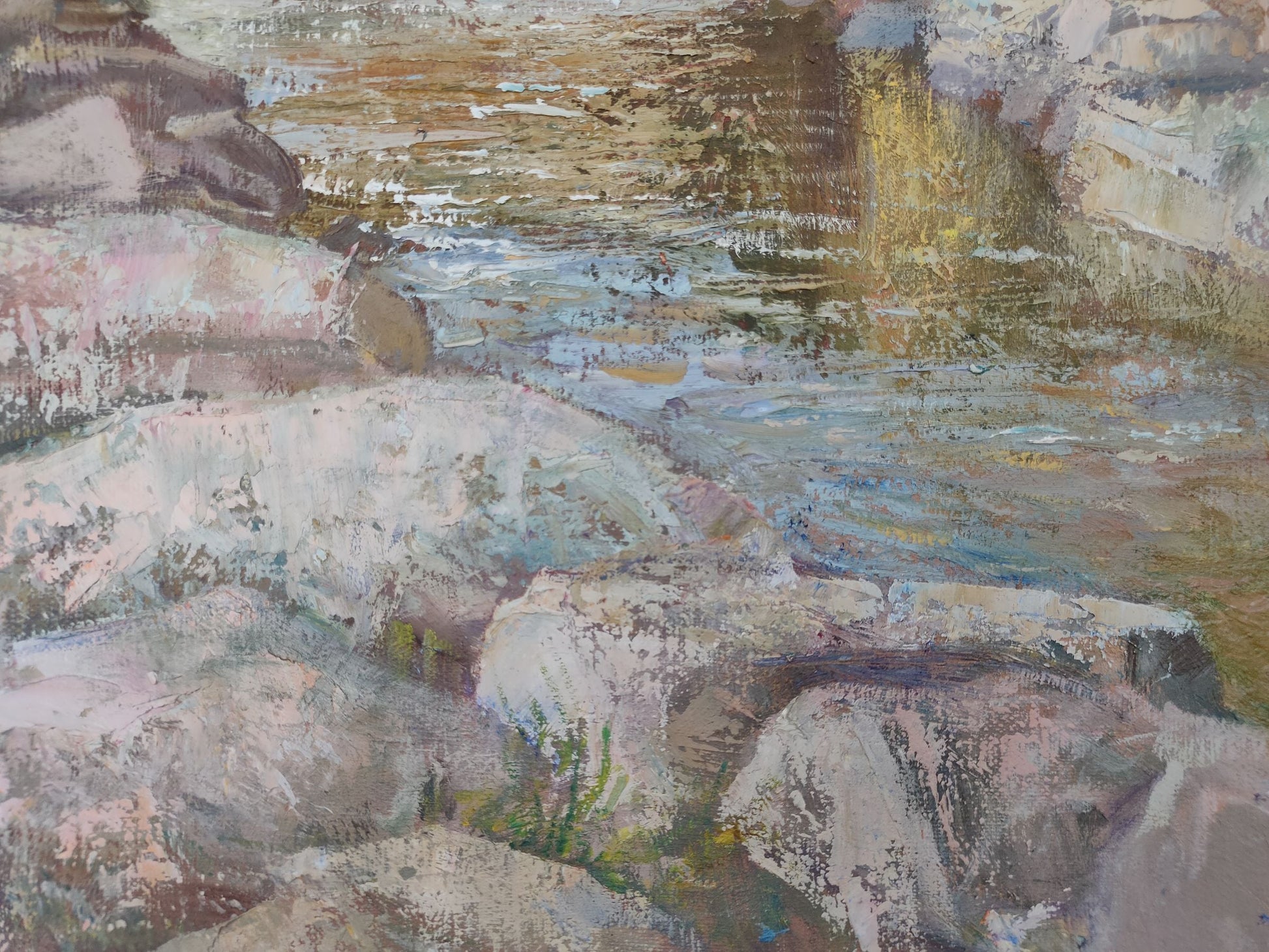 River Forest landscape