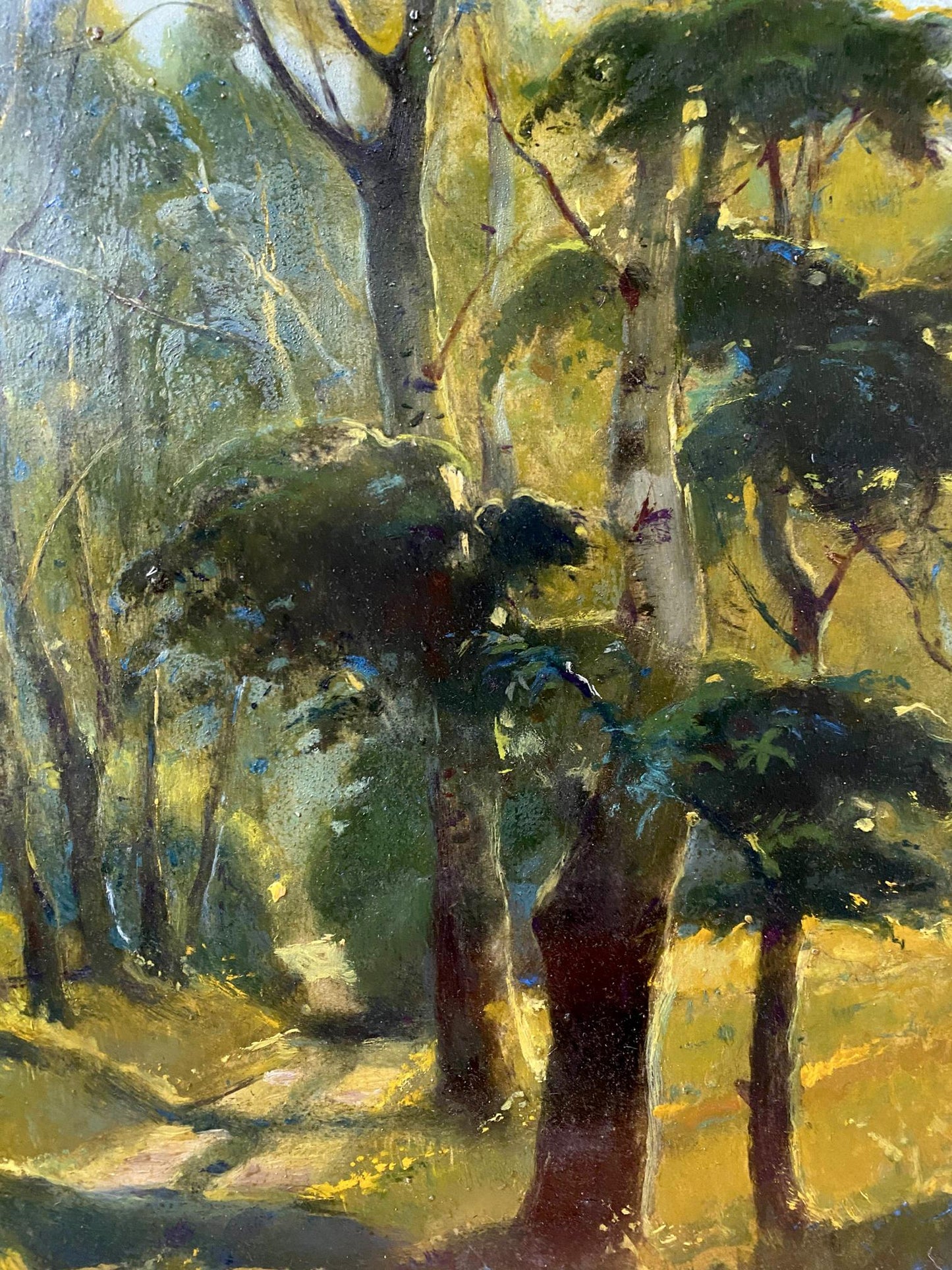 oil summer forest