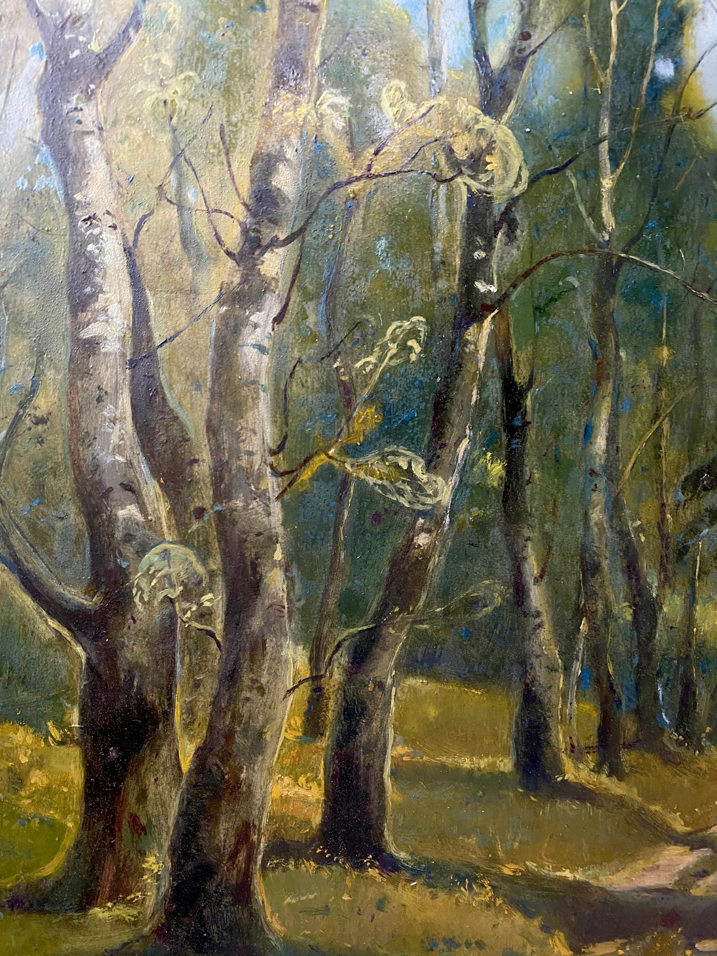 oil forest landscape