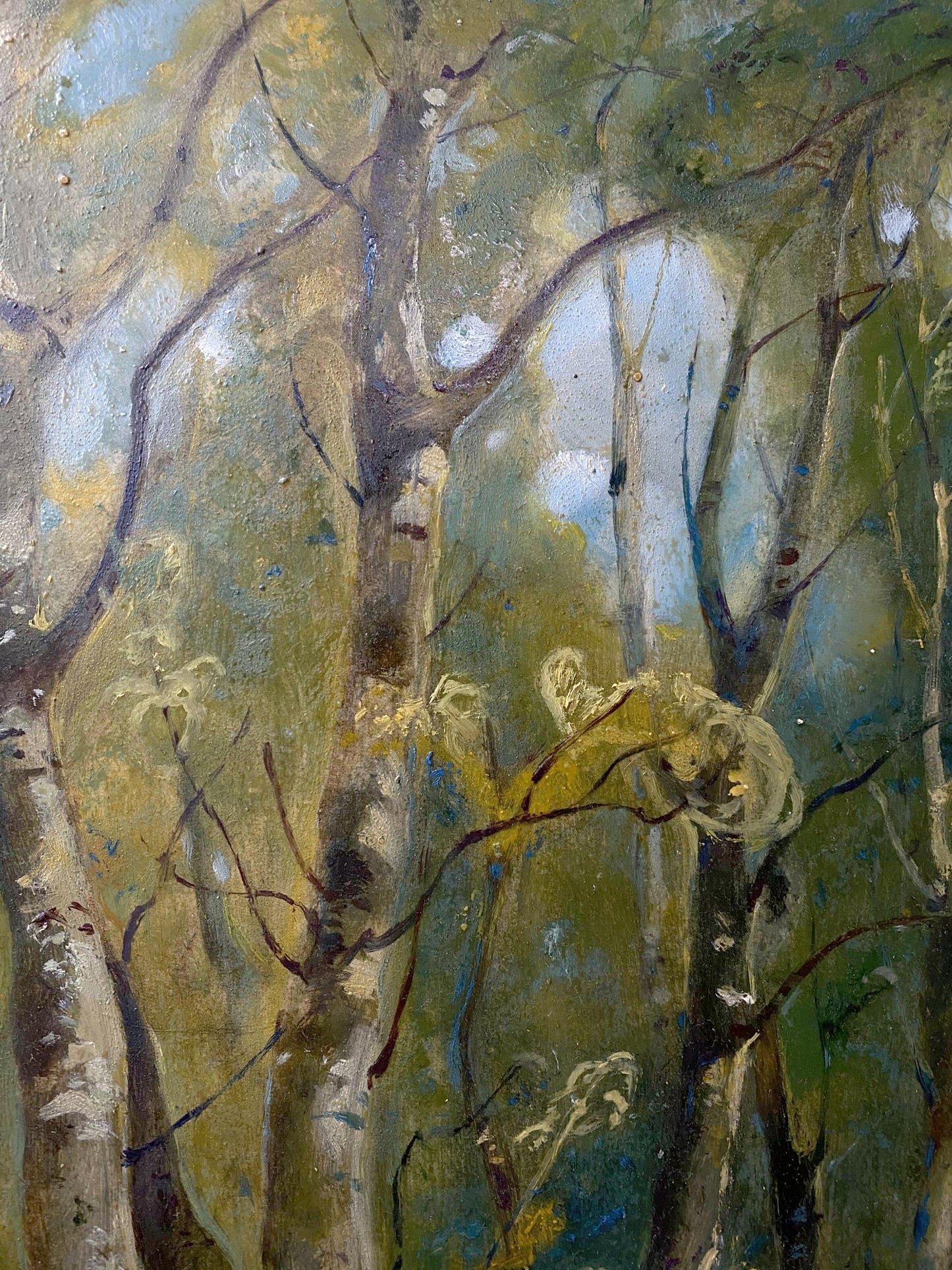 forest landscape