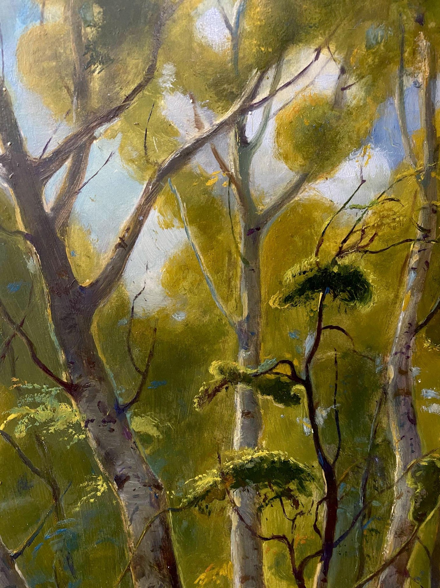 summer forest
