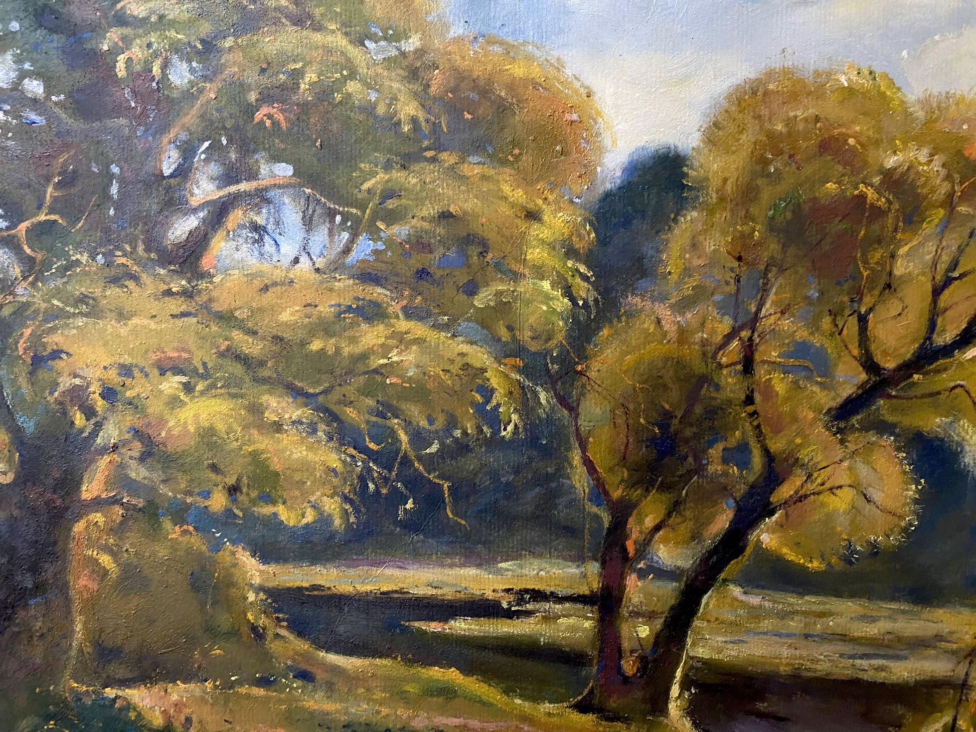 forest landscape