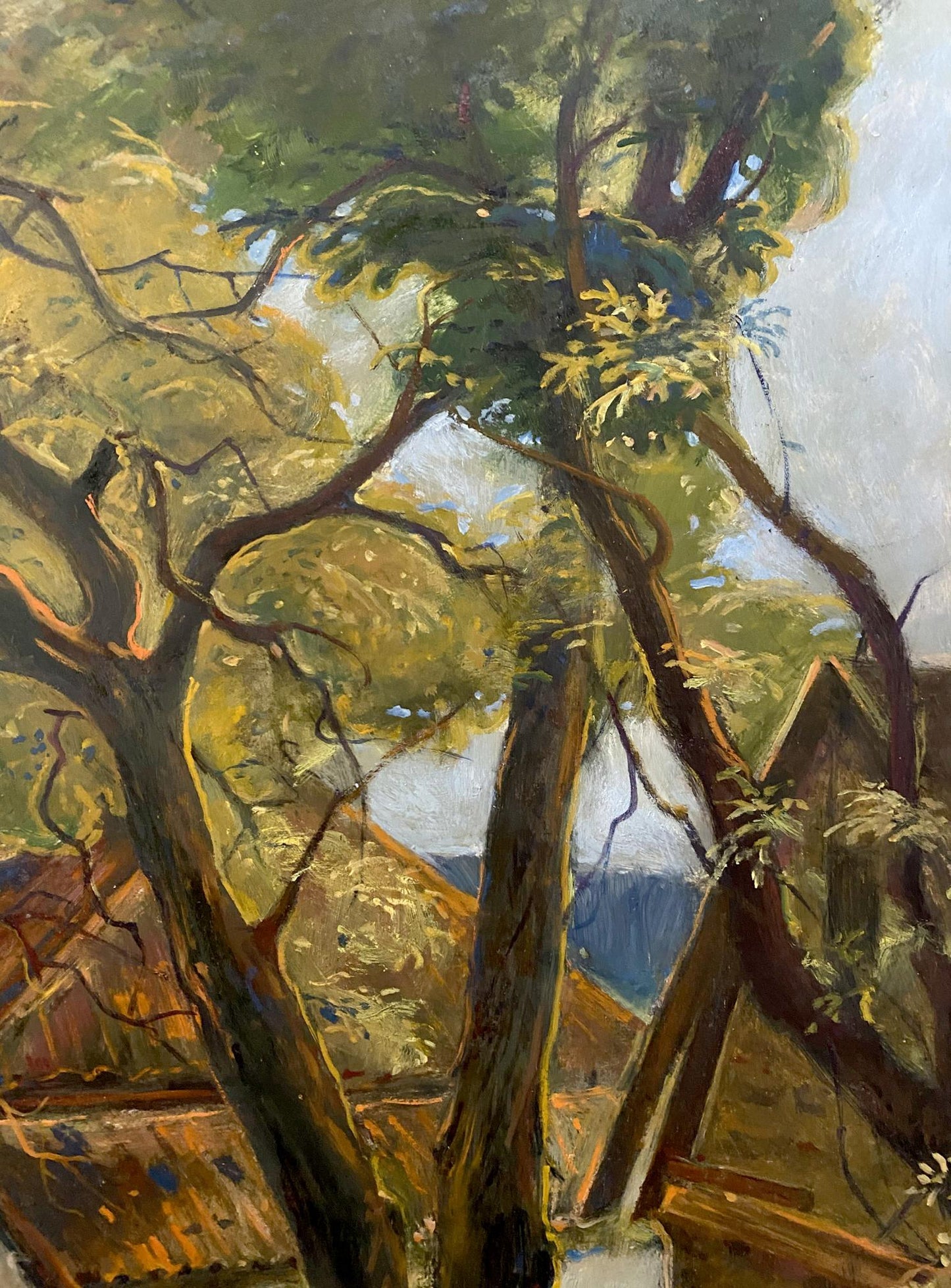 oil forest
